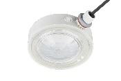 DA-BINDWEED  LED - Image 19